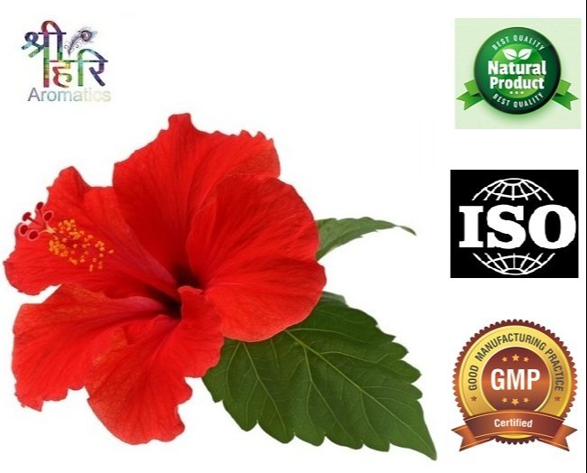 Hibiscus Extract