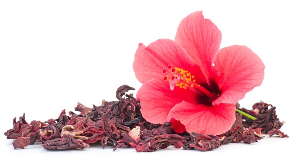 Hibiscus Soft Extract, Packaging Size: 1 Kg -35 Kg, Packaging Type: Hdpe Drum /Aluminium Can