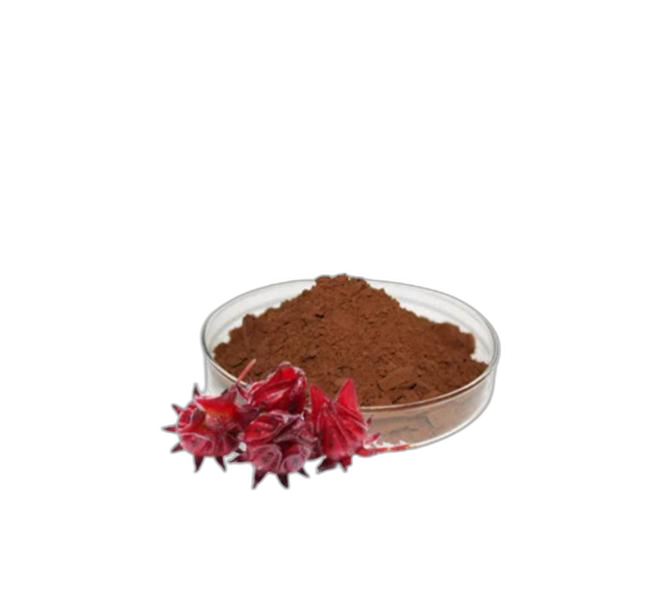 Hibiscus Extract