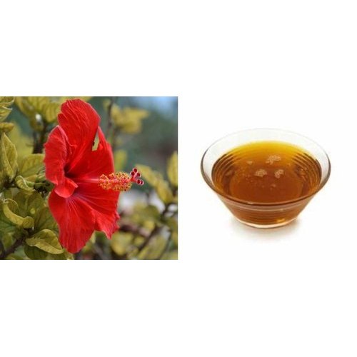 Hibiscus Liquid Extract, Packaging Type: Bottle, Packaging Size: 1 Ltrs