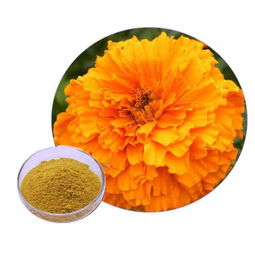 Calendula Extract, Packaging Size: 1 kg To 25 kg, Packaging Type: Packet