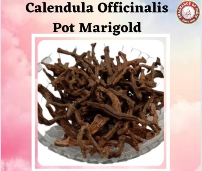 Marigold Calendula Officinalis Pot Marigld Made In India At Delhi wholesale prices