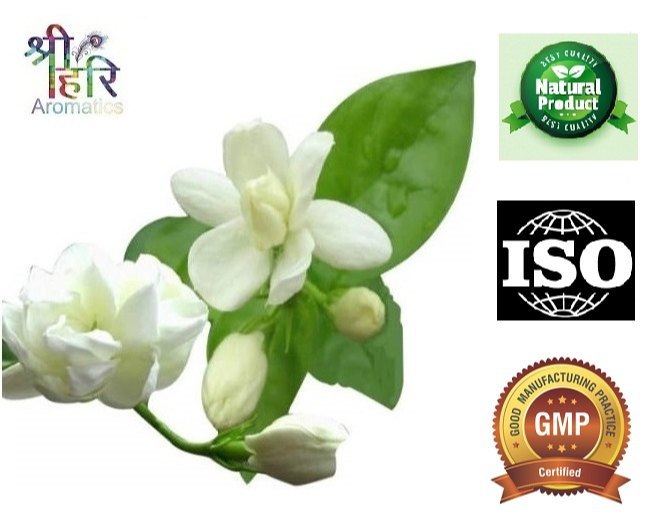 NATURAL JASMINE EXTRACT