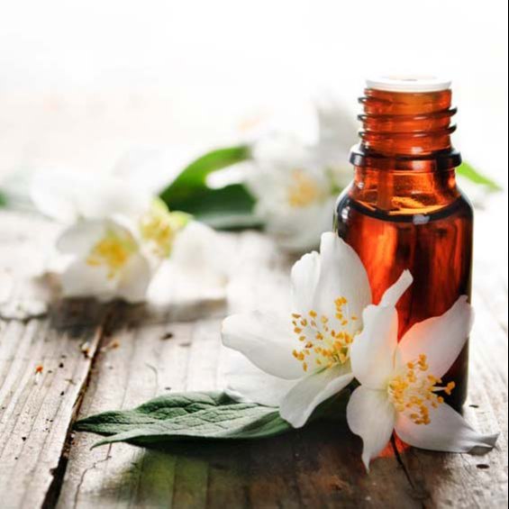 Jasmine Extract, Packaging Type: Aluminum bottle, Packaging Size: 1 Kg