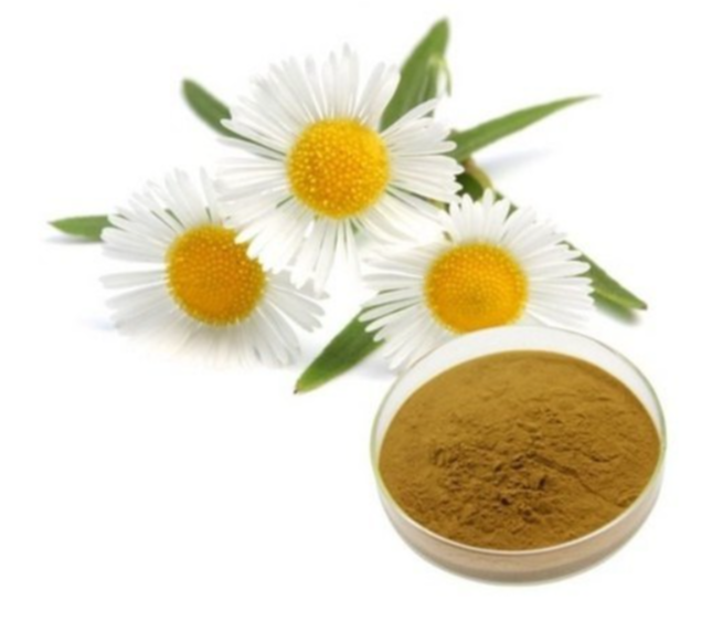 Chamomile Extract