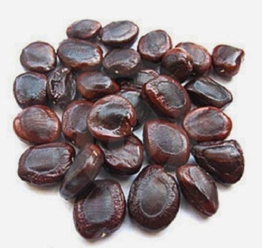 Saptraag Natural Imli Seeds, Packaging Type: Plastic, Packaging Size: 1kg
