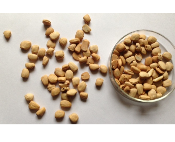 Nuetral Label Tamarind Kernel Seeds, 50g, Packaging: LDPE bags