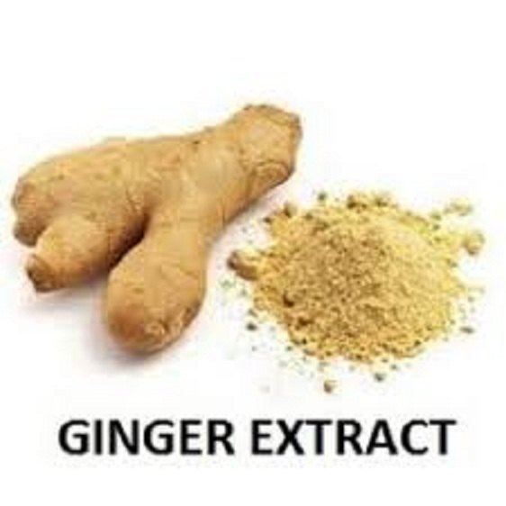 Ginger Extract Powder, For Pharmaceutical & Medical