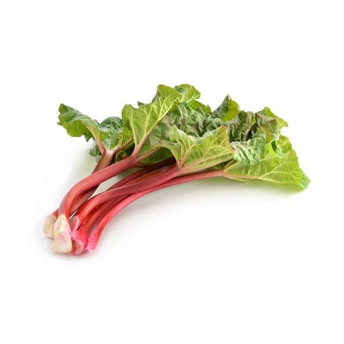 Rhubarb Root Extract, Packaging Type: Hdpe Drum, Packaging Size: 10 To 25 Kg