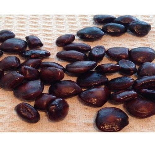 5 Year Dried Tamarind Seeds, Packaging Size: 40kg