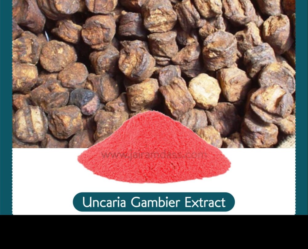 Uncaria Gambier Extract