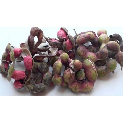 Vilayati Chinch Seeds, For Plantation