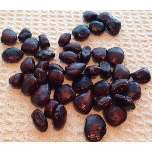 Standard Organic Tamarind Seeds