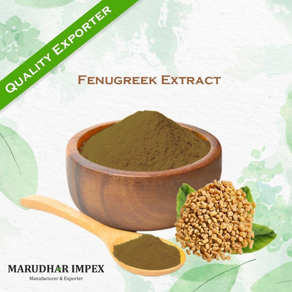 Trigonella foenum-graecum Fenugreek Extract Powder, Packaging Type: Pouch, Packaging Size: 1 Kg