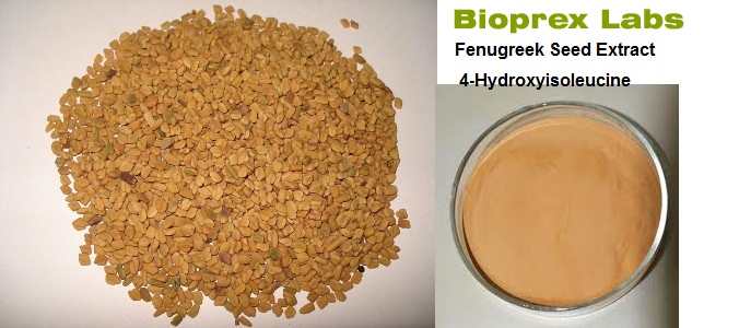 Bioprex Fenugreek Extract, Packaging Size: Drum