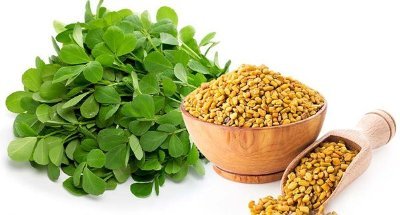 Fenugreek Standardized Extract, Packaging Type: HDPE Drum