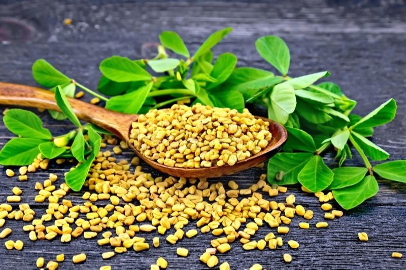 Fenugreek Extract, Packaging Type: Packet, Packaging Size: 1 Kg