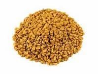 Trigonella Foenum Graecum Extract ( Methi )