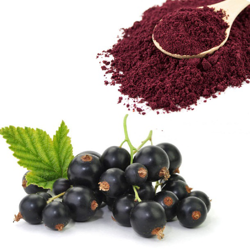 Brown Black Currant Extract Powder, Packaging Type: Hdpe Drums
