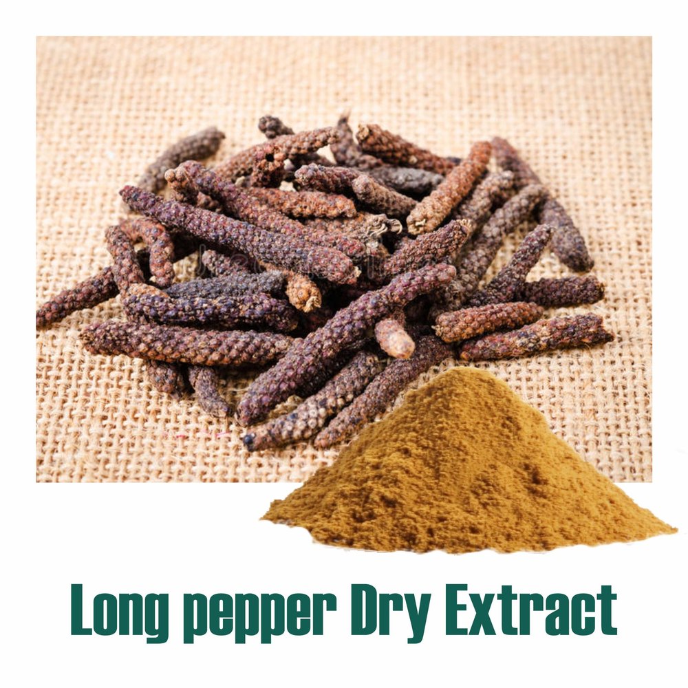 Long Pepper (Piper Longum) Dry Extract