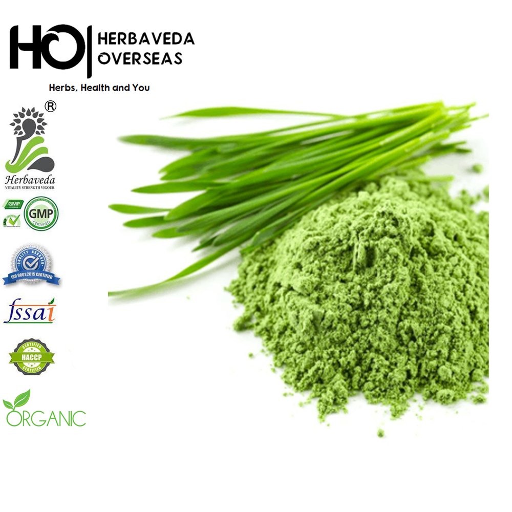 Herbaveda Wheat Grass Powder, Pack Size: 1 kilo