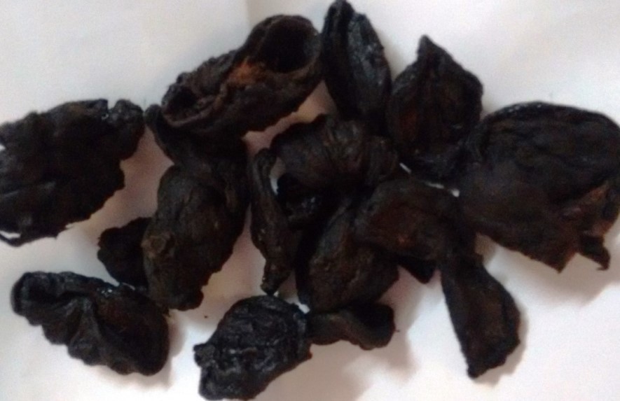 Garcinia Cambogia Fruit Rind ( SRILANKA Origin )