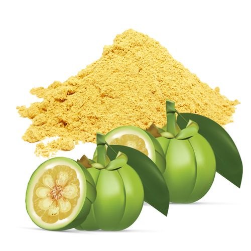 Garcinia Cambogia Extract Powder, Packaging Size: 25 Kg