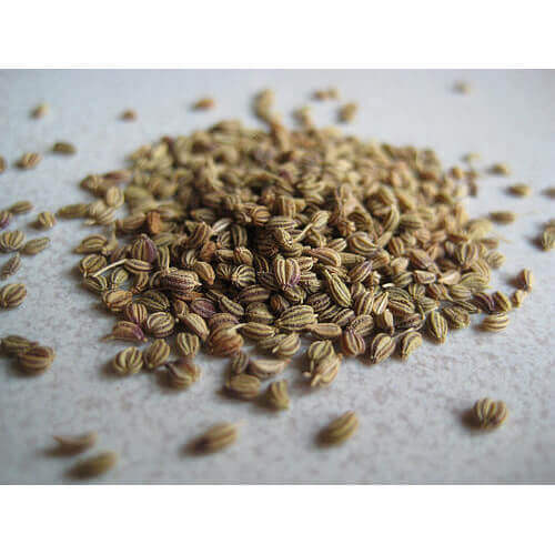 Anethum Sowa - Suva Extract