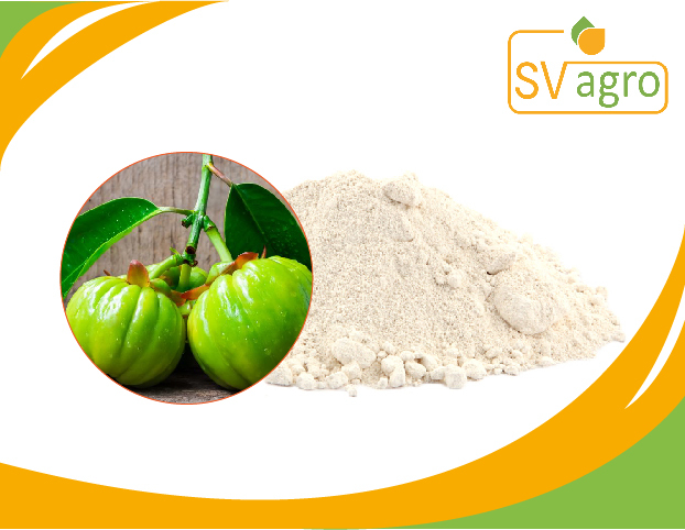 Garcinia Powder, Packaging Size: 200 Grm-15 Kg