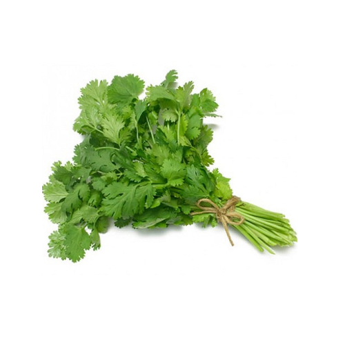 Coriander Leaves, Packaging: Plastic Bag Or Polythene