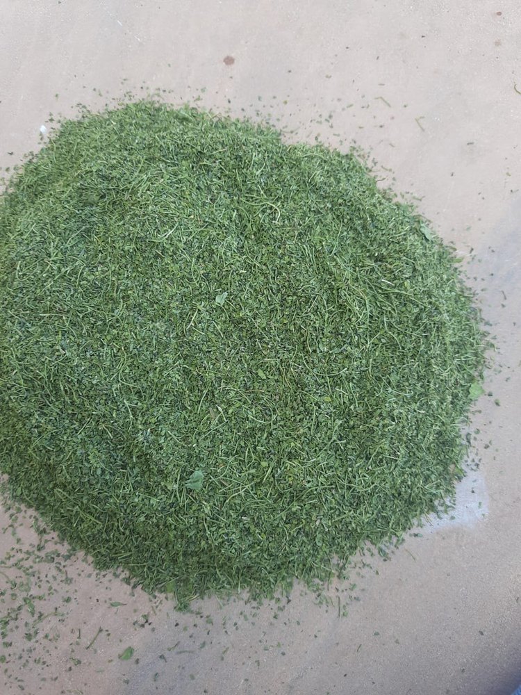 Natural Green Fresh Coriander Leavs Dried Dhania Leaf, Packaging: Plastic Bag or Polythene, Packaging Size: 12 kg PP Bag