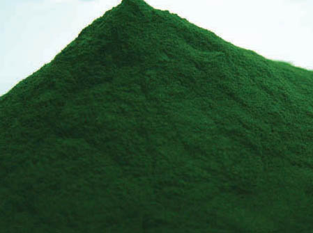Chlorella Powder