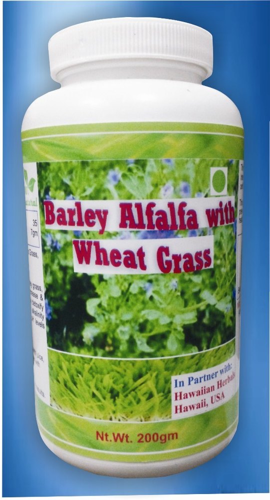 Barley Alfalfa With Wheat Grass