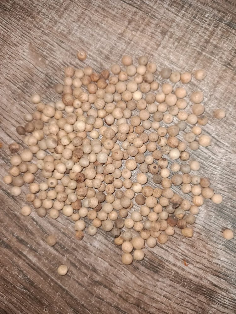 Dry Bold White Pepper