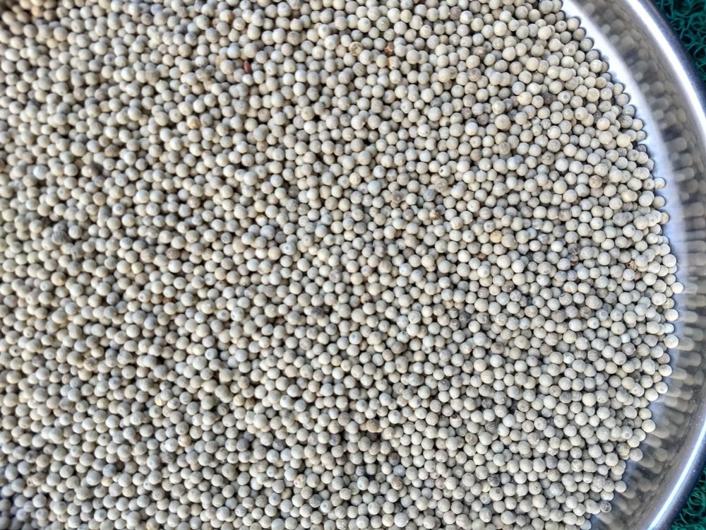 Dry White Pepper Spices