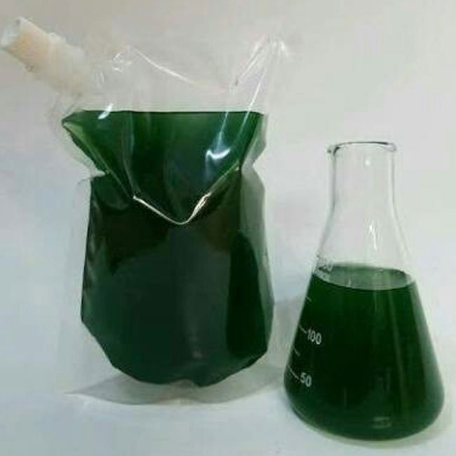 Spirulina Mother Culture, Packaging Size: 1 Litre
