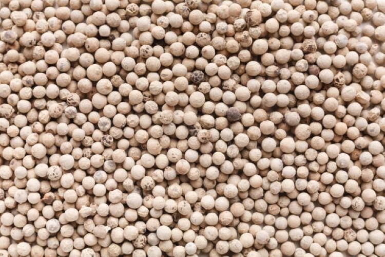 Dry Natural White Pepper