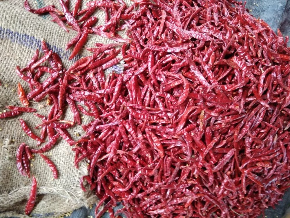 Teja S17 Stemless Red Chilli, Packaging: Loose Type