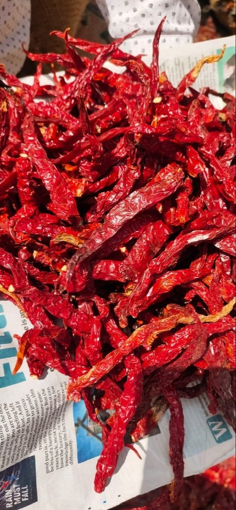 5531 Stemless Red Chilli