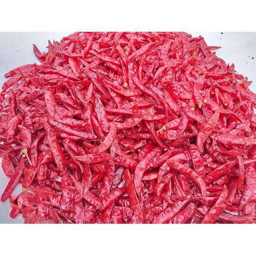 Sannam Stemless Red Chilli