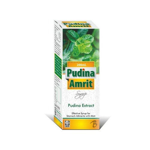 Pudina Amrit Syrup, For Personal, 200 ml