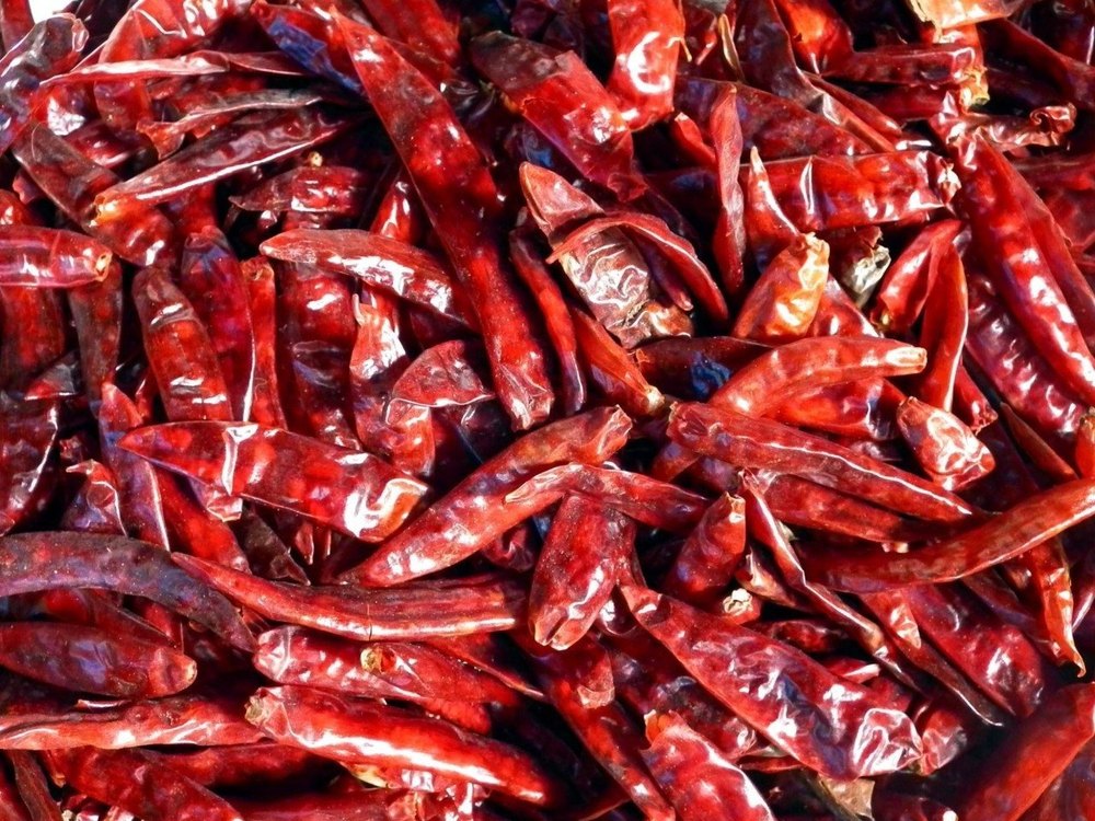 8cm Stemless Red Chilli, Drying Process: 15 Days