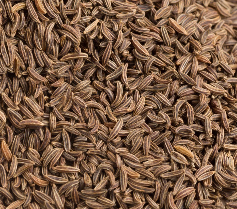 Caraway Seed, Packaging Type: PP Bag, Packaging Size: 25, 50 Kg