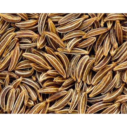 Vanraaj Caraway Seeds, Packaging Type: PP Bag, Packaging Size: 10 kg
