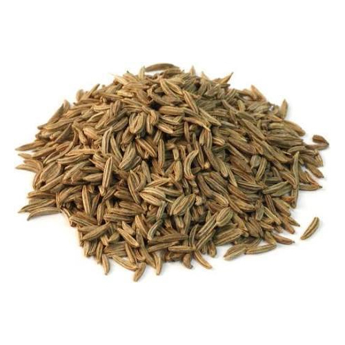 Caraway Seeds/ Jeera Holand, 50 Kg