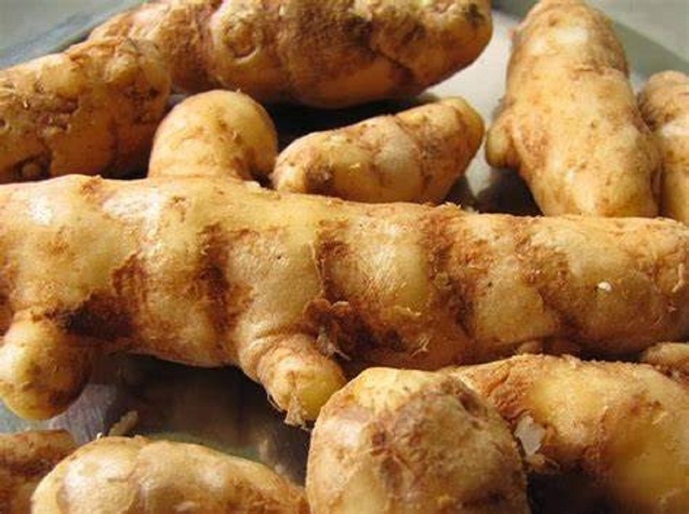 Curcuma Amada Mango Ginger, Packaging Type: PP Bag