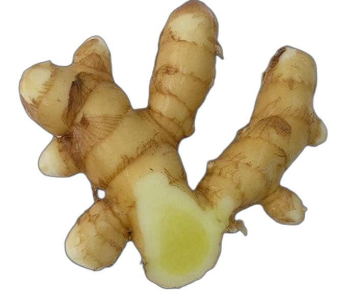Amba Haldi / Mango Ginger / White Turmeric (Curcuma Amada) Rhizomes, Packaging Type: Loose