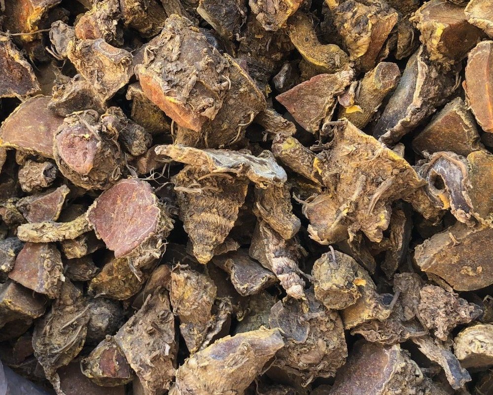 Curcuma Amada Amba Haldi Root