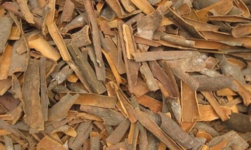 BROKEN CASSIA, Packaging Size: 10 Kgs