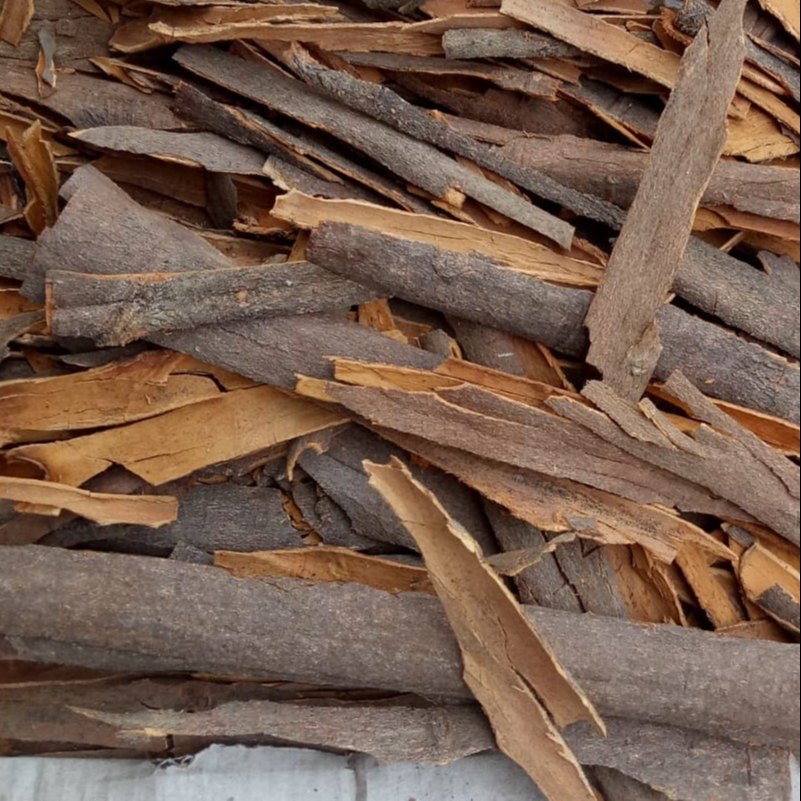 Split Cassia